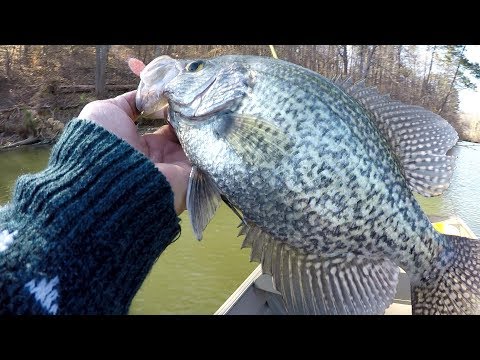 Crappie Fishing Cold Front Conditions During Spawn