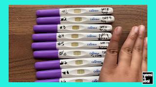 Clearblue Ovulation Kit | Yomi