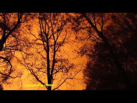 Pile Pahana Niwwa Man - By Sunil Edirisinghe