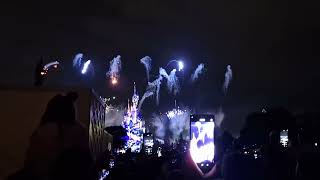 Lion King - Can You Feel the Love Tonight, Disneyland Night Show