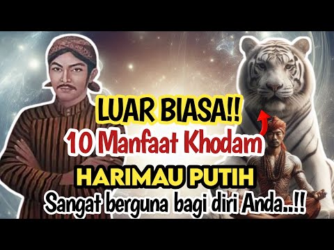 LUAR BIASA MANFAATNYA‼️10 PENGARUH KHODAM HARIMAU PUTIH YANG ADA PADA DIRI ANDA & PENGARUH ENERGINYA