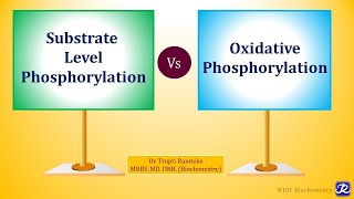 5: Substrate Level Phosphorylation | Biological Oxidation | Biochemistry | N'JOY Biochemistry