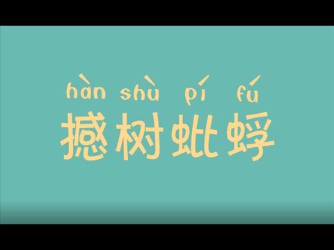 撼的造詞