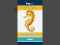 sea horse - a tiny sea animal that is a... video thumbnail