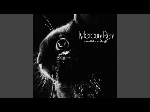 A Squirrel And I (Holding On... And Then Letting Go)