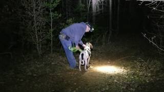 HIDE SOLO COON HUNT, PUTTING UP FEEDERS