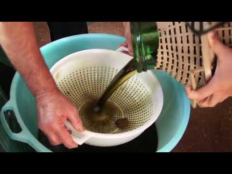 Making the Ratafia - Nocino
