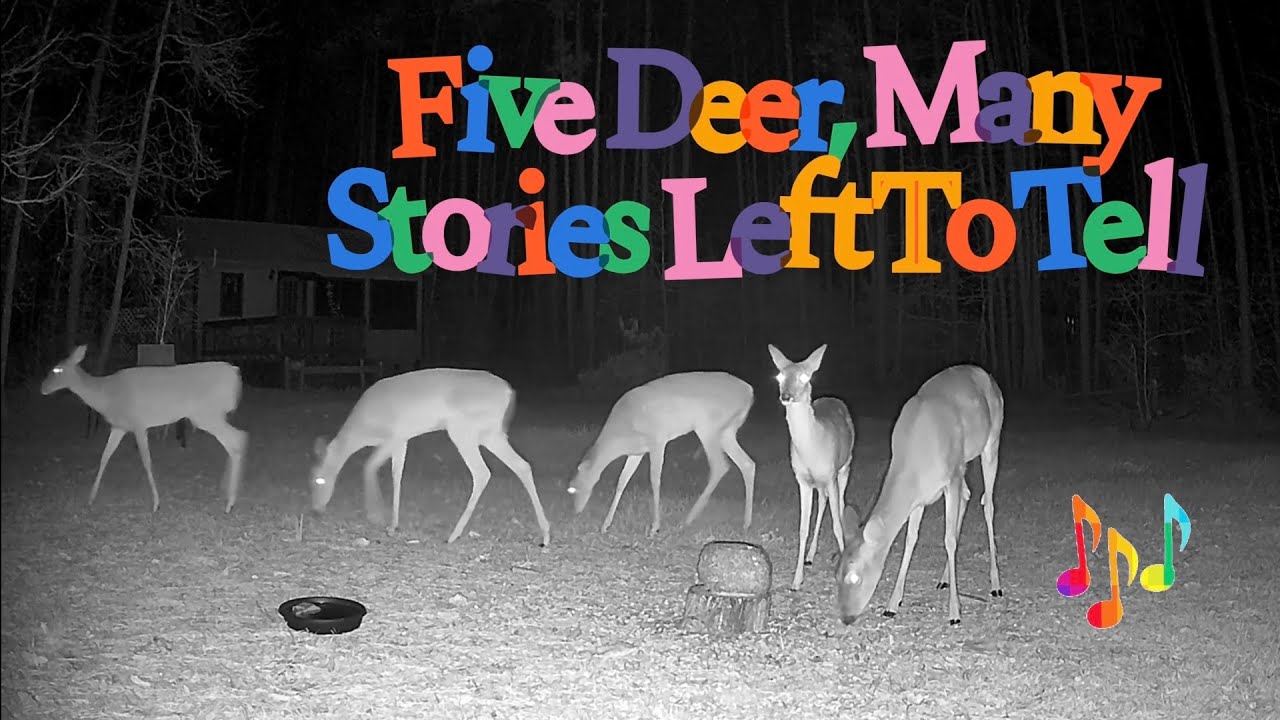 The Fawn‑ish Five Saga Continues #nature