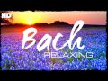 The Best Relaxing Classical Music Ever By Bach - Relaxation Meditation Focus Reading