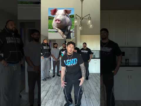 NONCHALANT ANIMALS #shorts