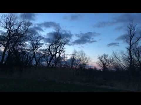 Sandhill Cranes flying over campsite at dusk