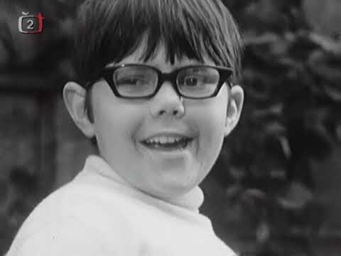 Kamarádi 03 - Máme psa