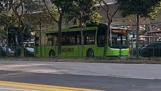 (Repainted Urgent Capture) SMB3085X(MDDEP) On Service 801 At Yishun Avenue 2