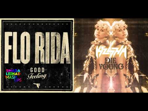 Flo Rida vs. Ke$ha - Die Feeling Good