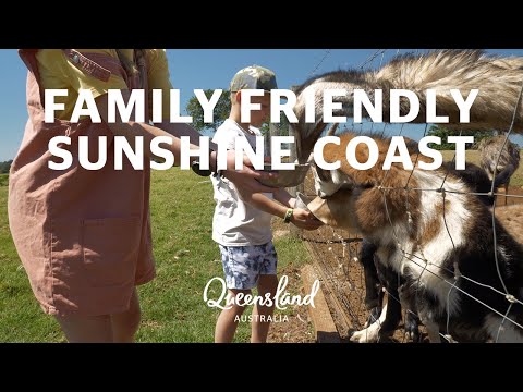 Must-do Sunshine Coast experiences with family