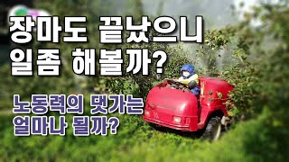 한여름  농부의 일상 하루일당은  과연 얼마일까?