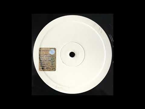 Dave Robertson & Mike Healey ‎– Got The Bug