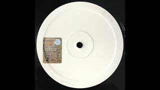 Dave Robertson & Mike Healey ‎– Got The Bug