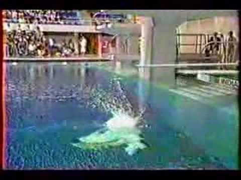 NCAA National Champion