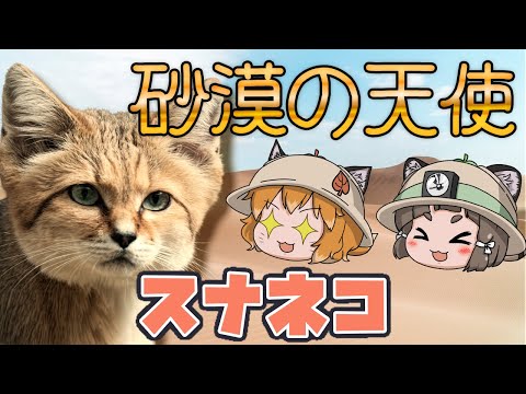 Felis silvestris silvestrisについて詳しく解説