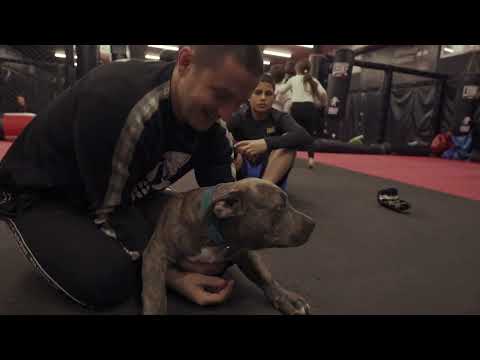 Kupio sam skupog psa, Icko je ocajan!  |VLOG 2|