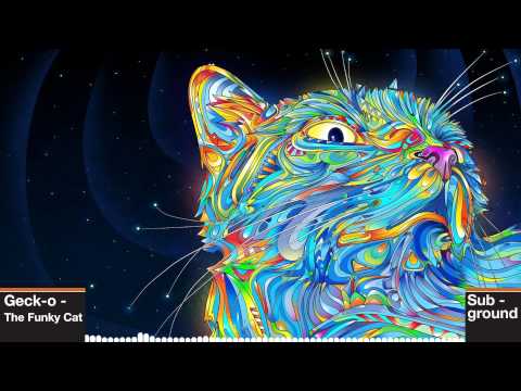 Geck-o - The Funky Cat (HQ rip)