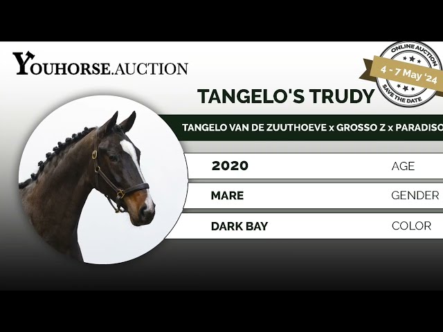 Tangelo‘s Trudy ridden @ Home