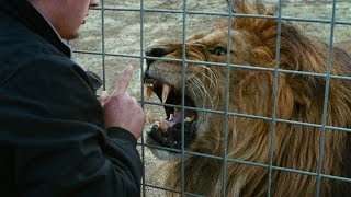 Tizza Covi & Rainer Frimmel MISTER UNIVERSO - international Trailer with english subtitles