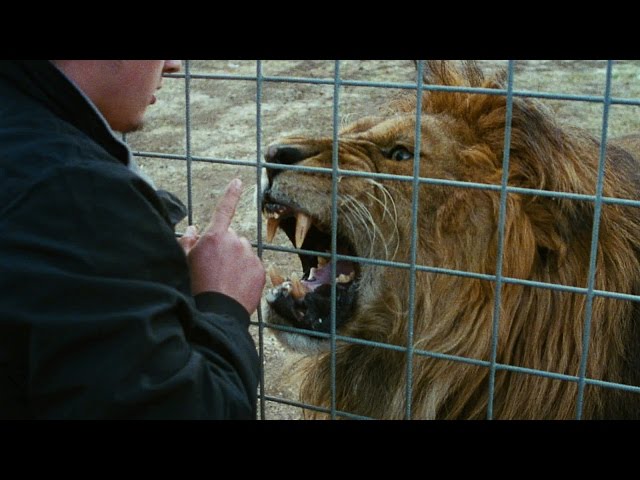 Tizza Covi & Rainer Frimmel MISTER UNIVERSO - international Trailer with english subtitles