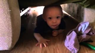 Ben pakhnyuk 11 m chasing kitty MiMi cute crawl chase under