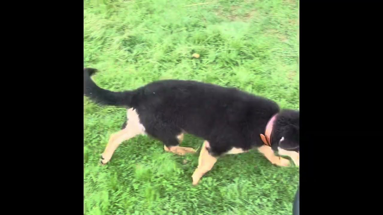 Fahrradanhänger? Ganz entspannt, bitte!