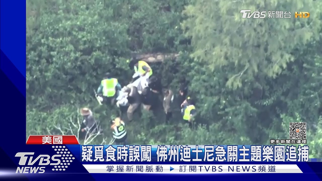不是工讀生假扮 灰熊闖佛州迪士尼樂園趴趴走