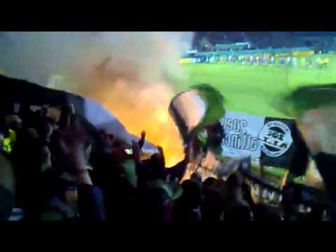 Trailer - MultiBorusse1900