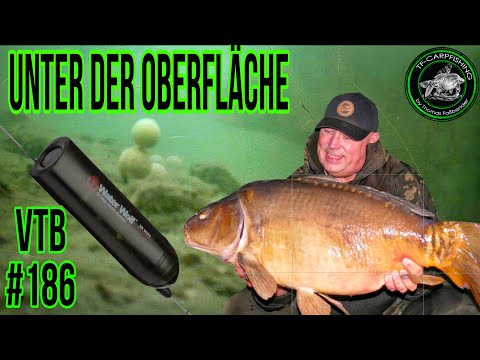 CARP FISHING VTB #186 - Below the Surface #underwater #2025 #autumn