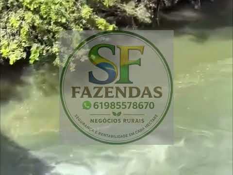 OPORTUNIDADE - FAZENDA EM BURITIS DE MINAS 235 HECTARES