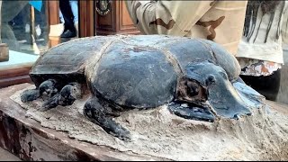 12 Most Amazing Recent Artifacts Finds