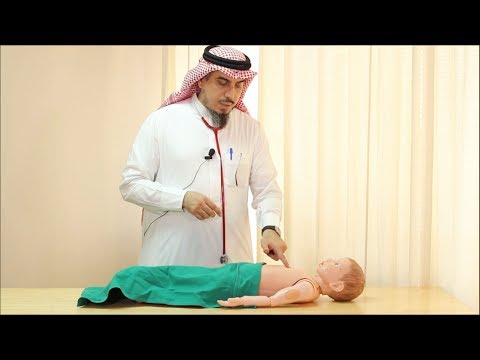 Pediatric Cardiovascular Assessment (Physical Examination) - Dr. Zaher Faisal Zaher