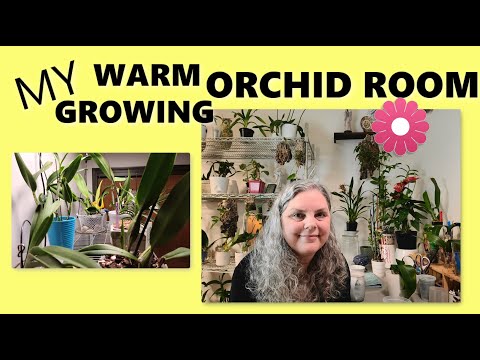 ORCHID GROW ROOM TOUR, PART TWO, WARM ROOM, GROWING INDOORS UNDER LIGHTS, JAN 22, 2021