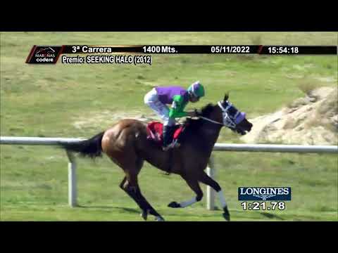 221105 c03 LINDA DAMA