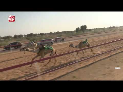  ش 14 (رعد) لـ سالم سعيد ضحي الكتبي 13:01 ، شارة الديوان 2026/2/21 ثنايا السوان