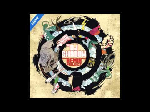 DJ Shadow -- Stem (Blank Image Mix)