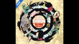 DJ Shadow -- Stem (Blank Image Mix)