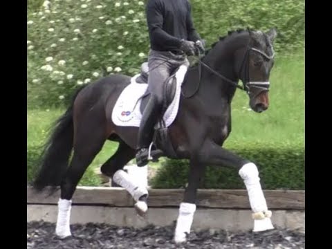 Verrenberg by VILANCIO - JOHNSON