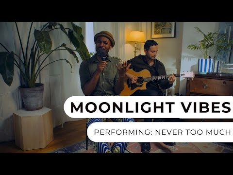 Moonlight Vibes - Never Too Much