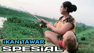 Download lagu Mancing di sungai kampung pedesaan di temani pemandangan yang indah mp3