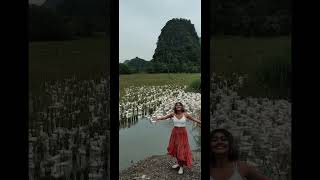 📍Ninh Binh, Vietnam #travel #shorts #vietnam