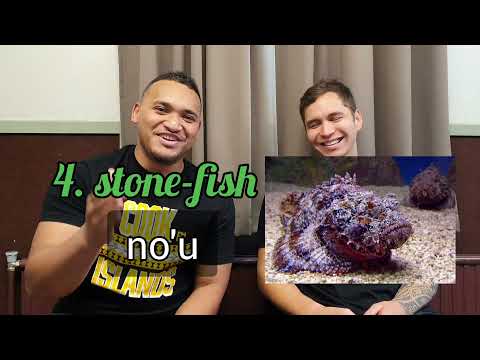 5 Things to watch out for on your Rarotonga holiday!