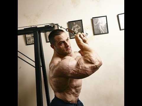 Evan Centopani