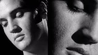 He'll Have To Go   Elvis  Presley