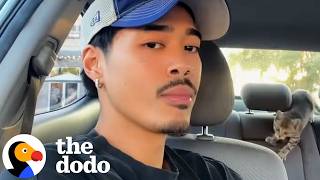 Streamer Realizes He Hears Meowing Coming From His Car | The Dodo
